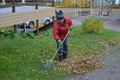 Syystalkoot Hakalassa 17.10.2017
