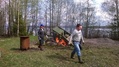 Komea juhannuskokko syntymässä